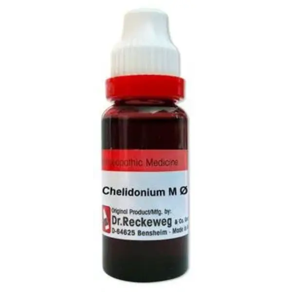 Dr. Reckeweg Chelidonium Maj Mother Tincture Q